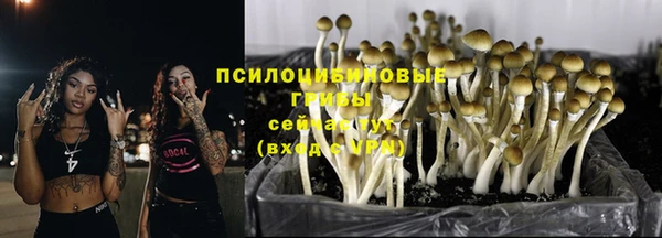 молекула духа Коряжма