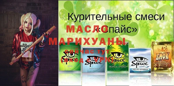 индика Корсаков