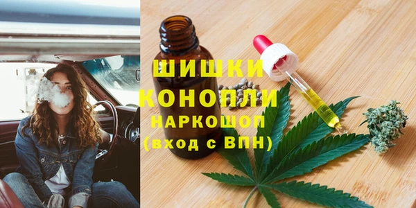 молекула духа Коряжма