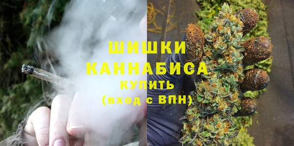 дживик Костерёво