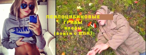 дживик Костерёво