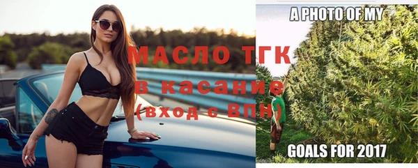 индика Корсаков