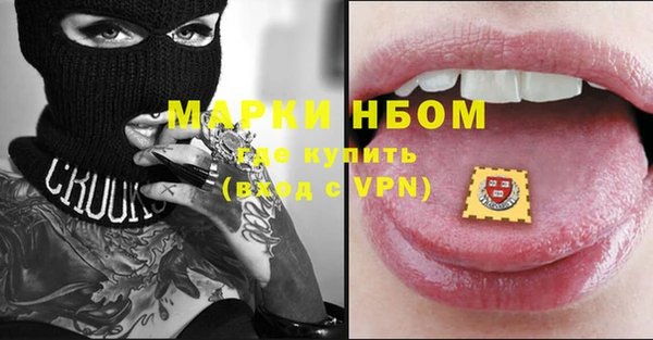 индика Корсаков