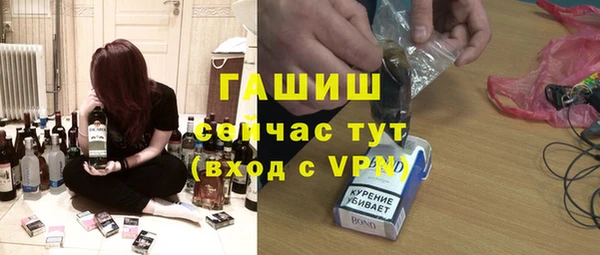 индика Корсаков