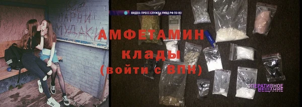 индика Корсаков
