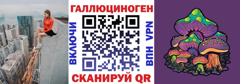Купить  Калач  Псилоцибиновые грибы MAGIC MUSHROOMS 