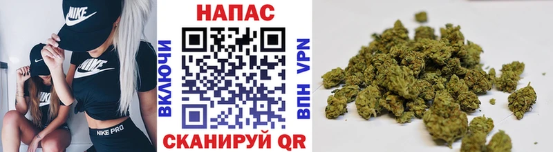 Купить где Калач Шишки марихуана сатива